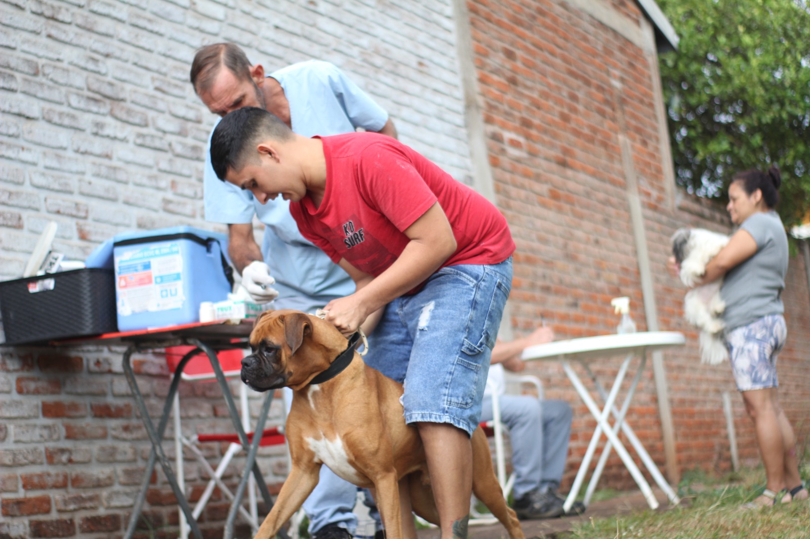 <p>El Quirófano Móvil del IMuSa brindó atención gratuita en Cocomarola Oeste </p>
