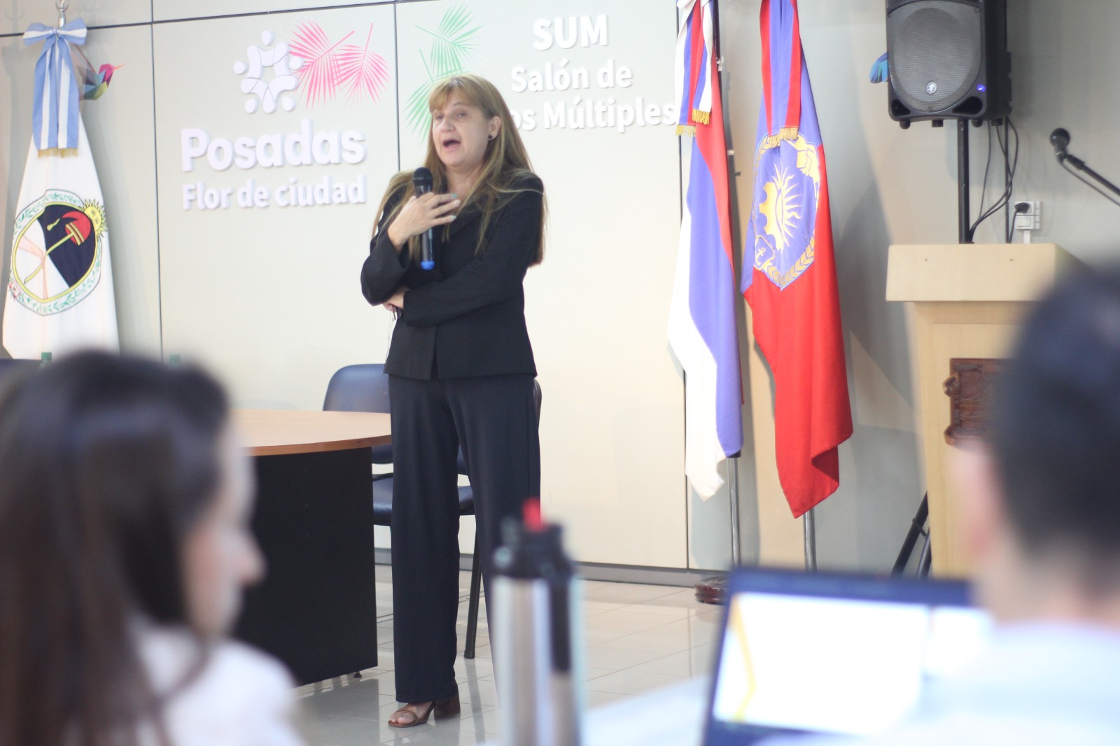 <p>Posadas impulsó una jornada para visibilizar y mejorar el abordaje de la endometriosis</p>