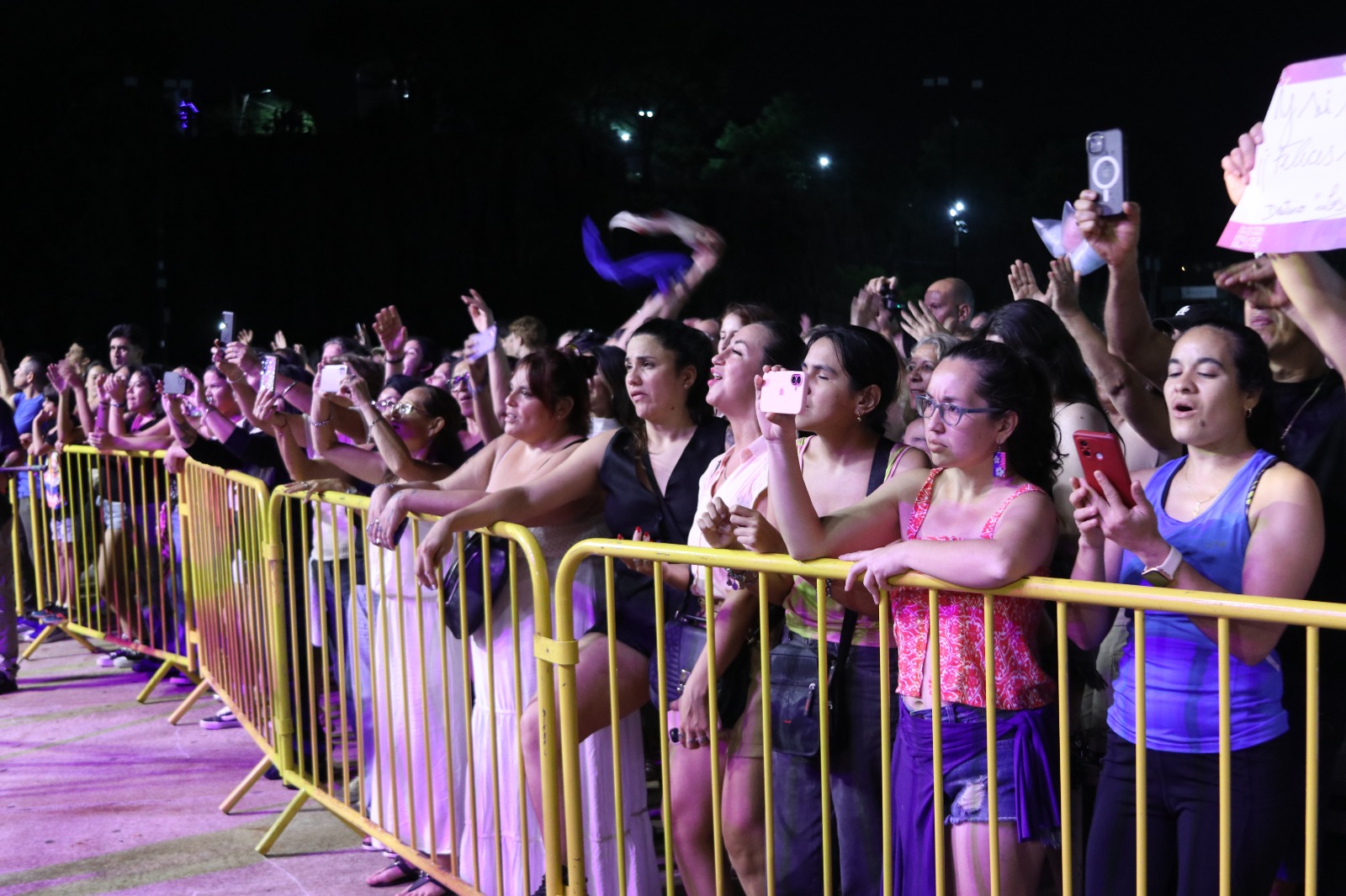 <p>Catherine Vergnes, Los Núñez y Destino San Javier fueron los picos altos de la noche inaugural</p>